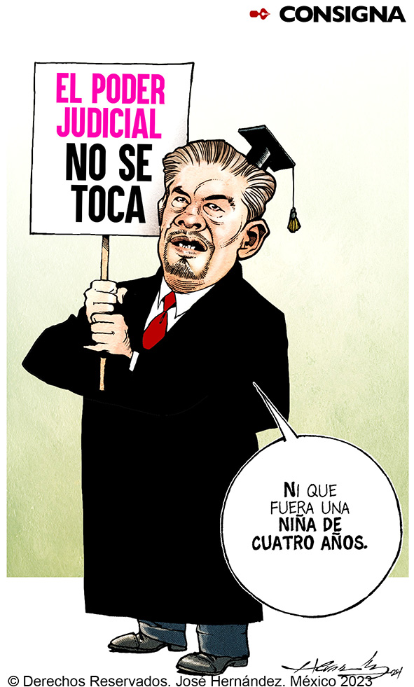 Consigna